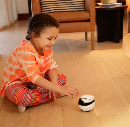 AI Smart Companion Robot Camera
