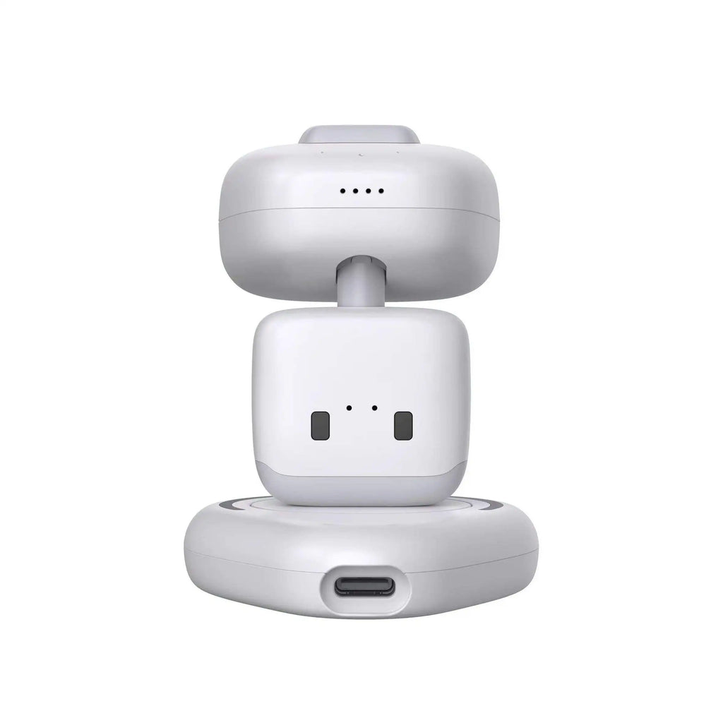 Pocket AI Robot - electronic pet with voice recognition