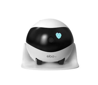 Smart Companion Robot Camera